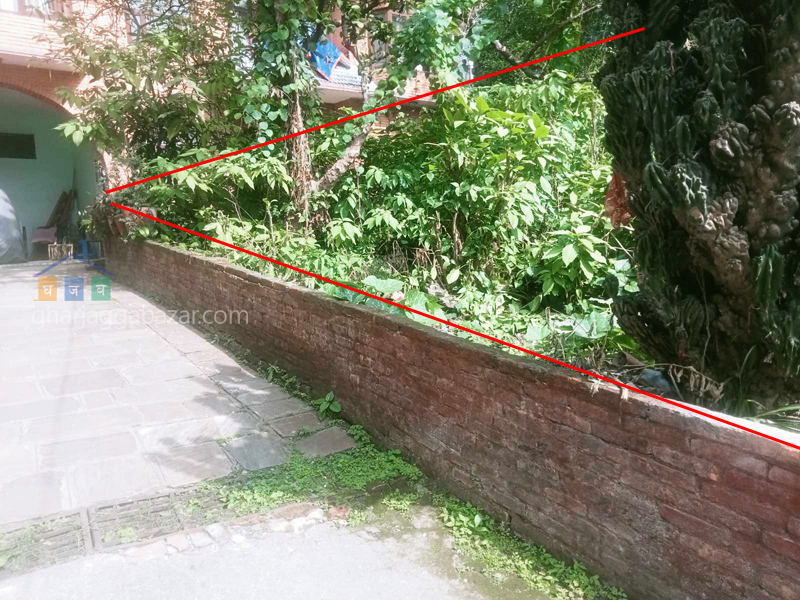 Land on Sale at Dillibazar